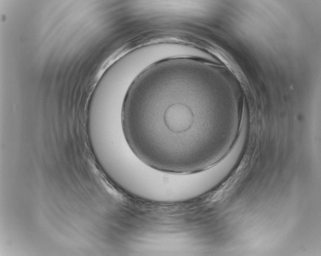 X0000088720858200706141611