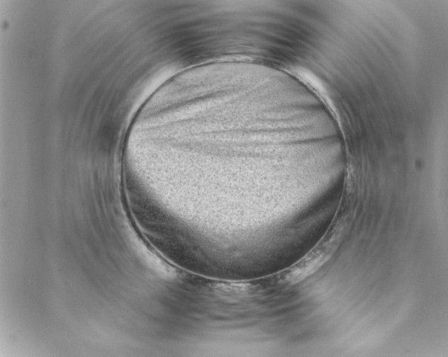 X0000088720859200706141611