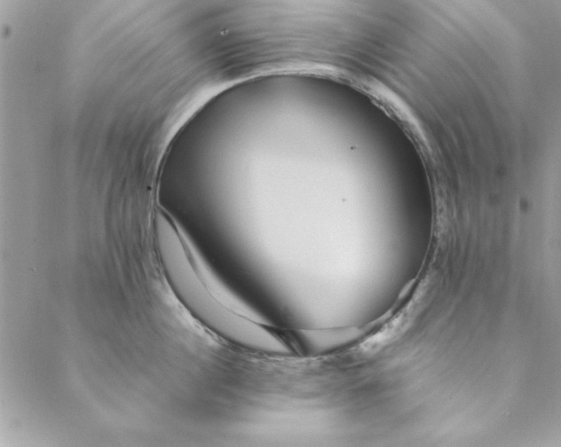 X0000088720860200706141611