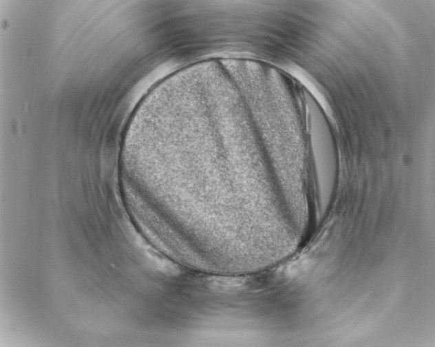 X0000088720861200706141611