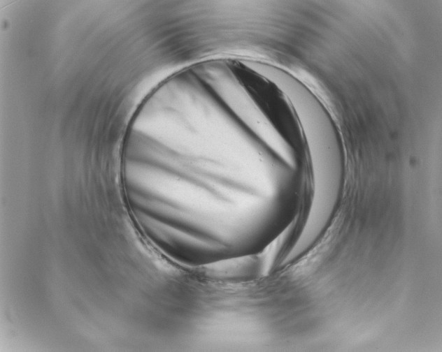 X0000088720862200706141611