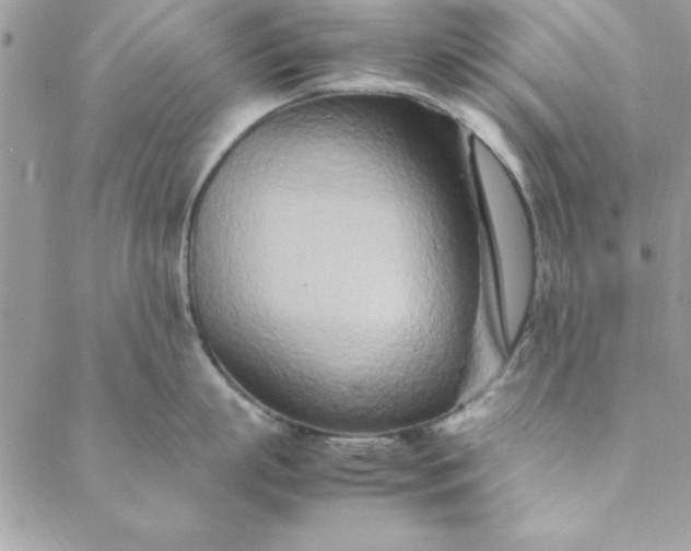 X0000088720863200706141611