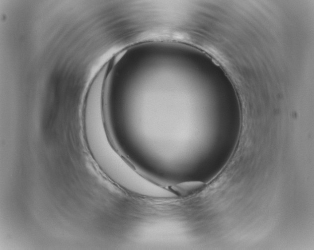 X0000088720864200706141611