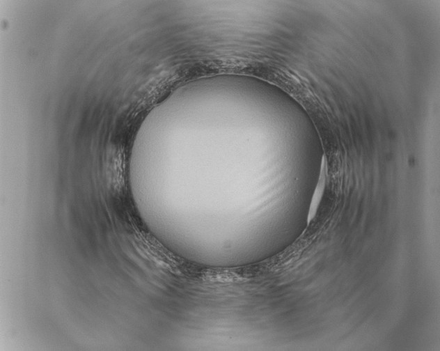 X0000088720866200706141611