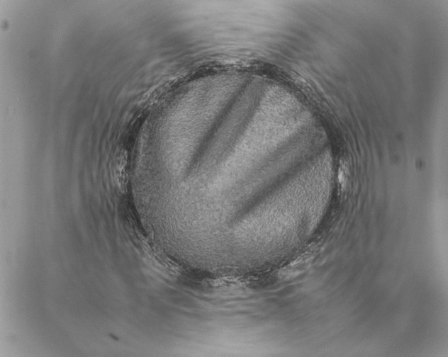 X0000088720867200706141611