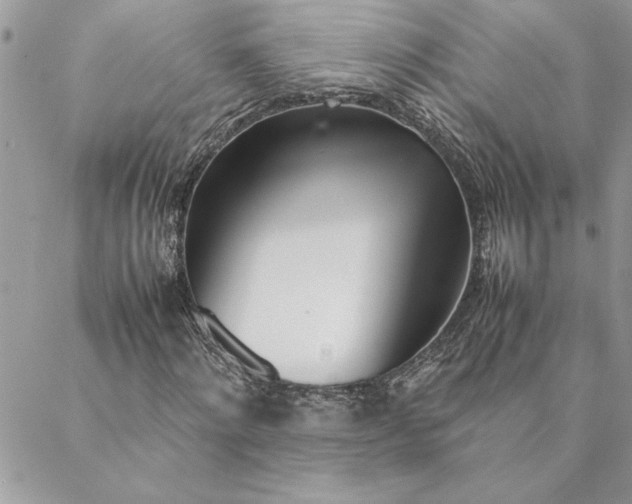 X0000088720868200706141611