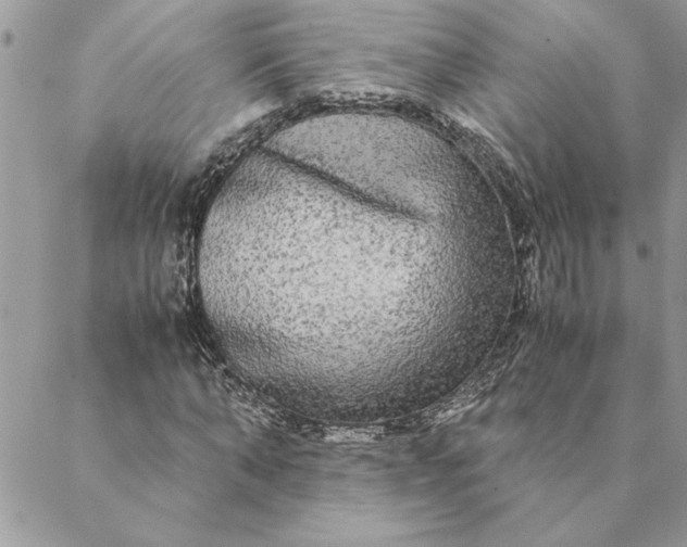 X0000088720870200706141610