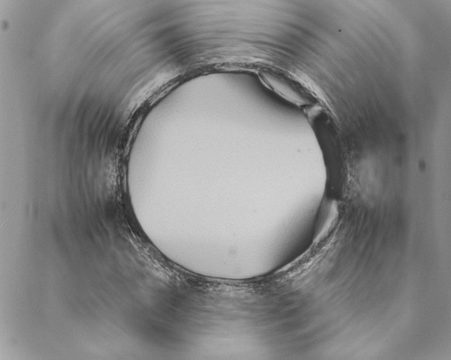 X0000088720874200706141610
