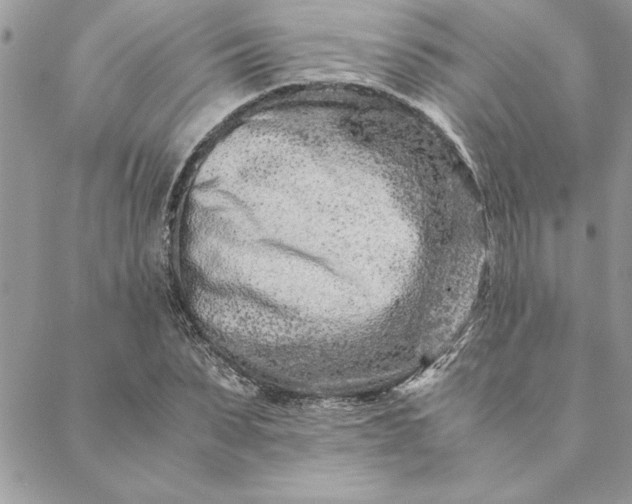 X0000088720879200706141610