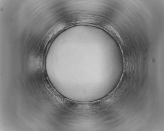 X0000088720882200706141610