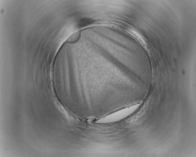 X0000088720907200706141610