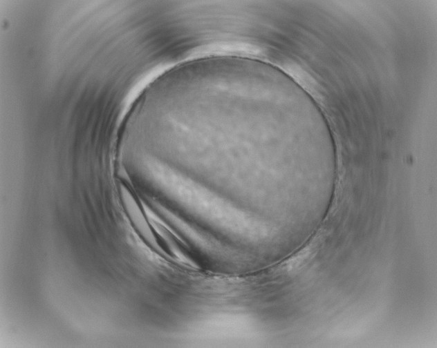 X0000088720912200706141610