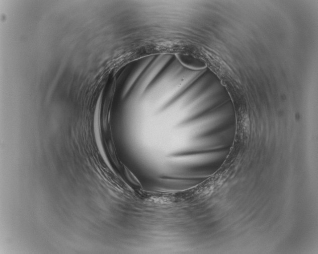 X0000088720914200706141609