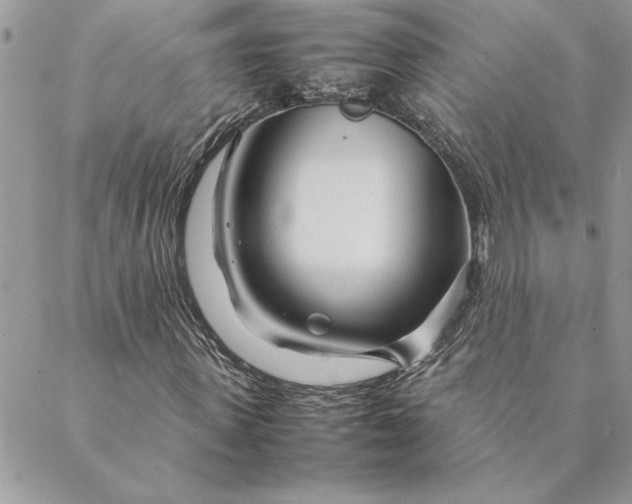X0000088720915200706141609