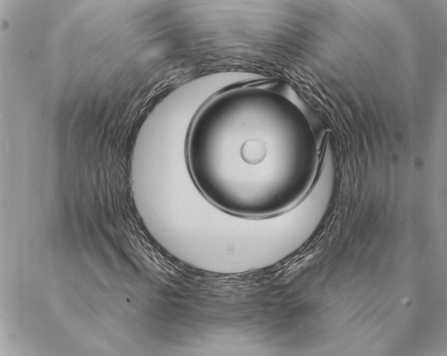 X0000088720916200706141609