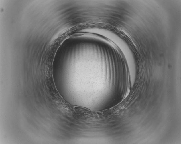 X0000088720919200706141609