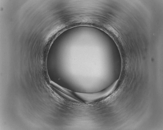 X0000088720922200706141609