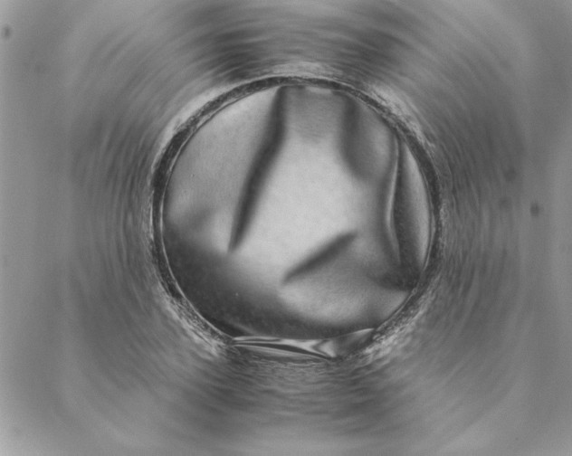 X0000088720931200706141609