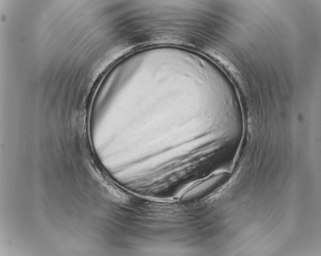X0000088720933200706141609