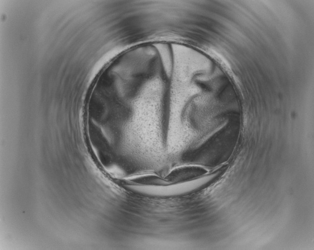 X0000088720947200706141610