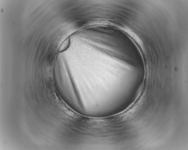 X0000088720953200706141610