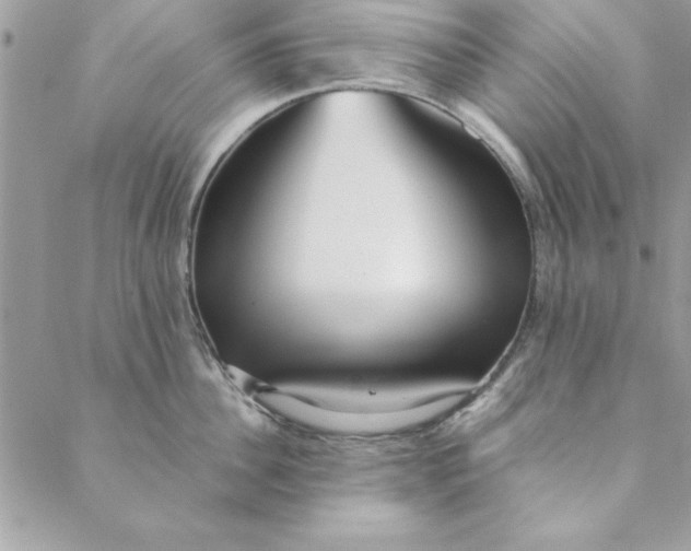 X0000088720956200706141610