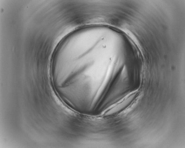 X0000088720957200706141610