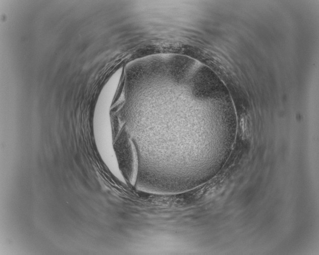 X0000088720963200706141609