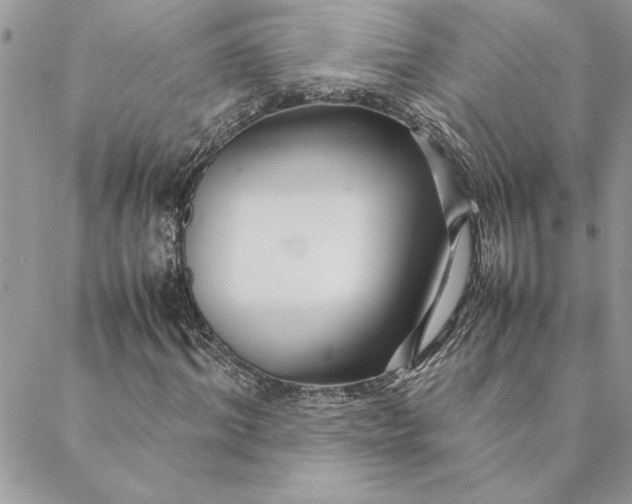 X0000088720964200706141609