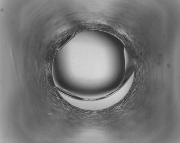 X0000088720965200706141609