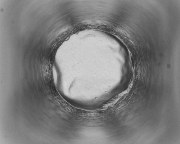 X0000088720966200706141609