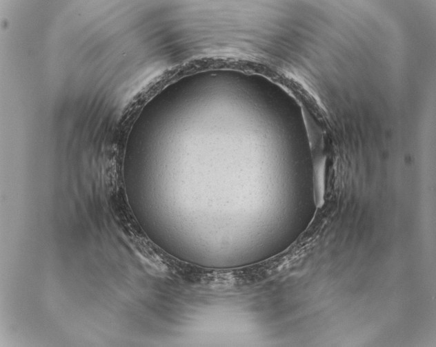 X0000088720968200706141609