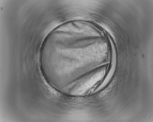 X0000088720991200706141609