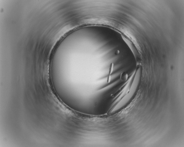 X0000088720992200706141608