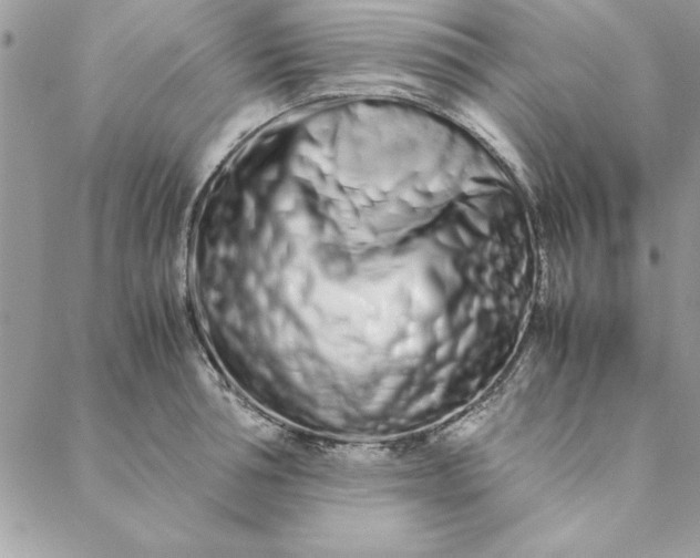 X0000088720994200706141608