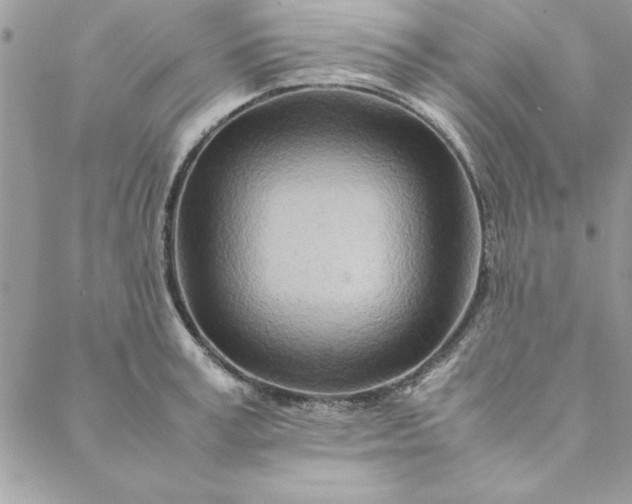 X0000088720995200706141608