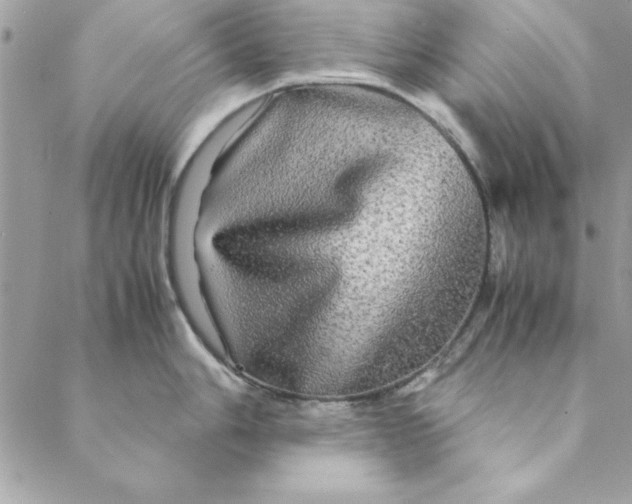 X0000088721006200706141608