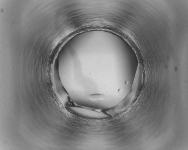 X0000088721018200706141608