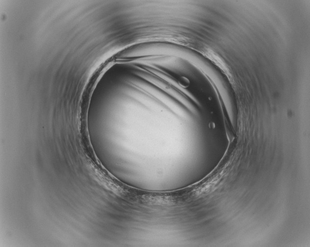 X0000088721020200706141608