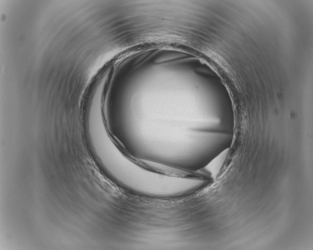 X0000088721022200706141608