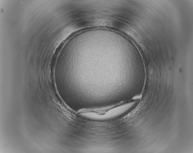 X0000088721023200706141608