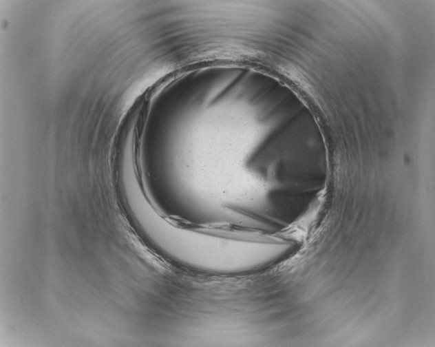 X0000088721026200706141608