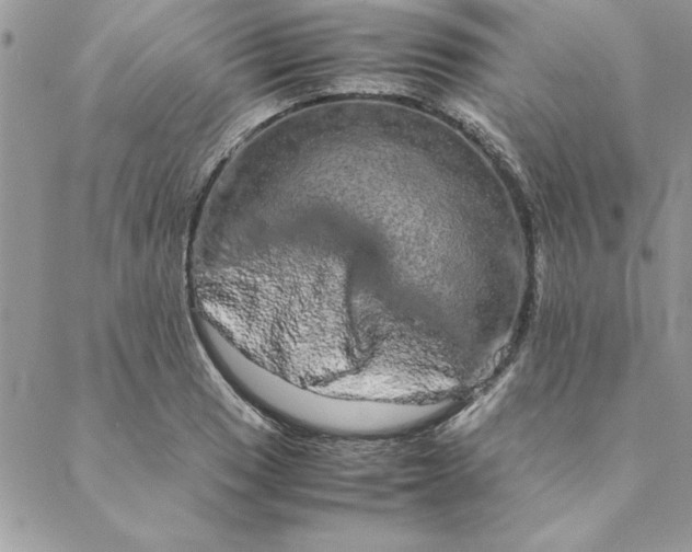 X0000088721033200706141608
