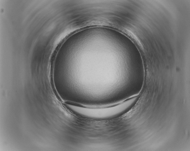X0000088721035200706141608