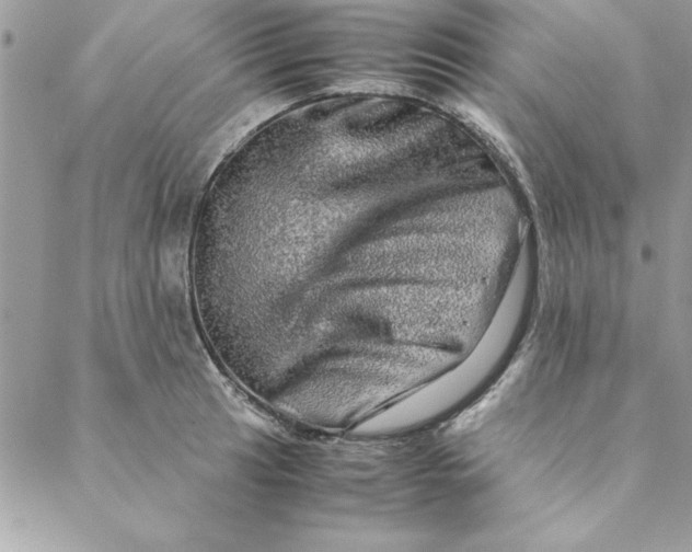 X0000088721041200706141608