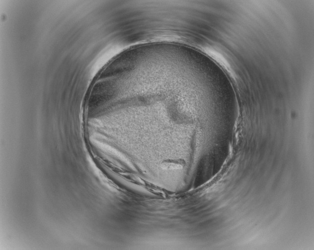 X0000088721047200706141608