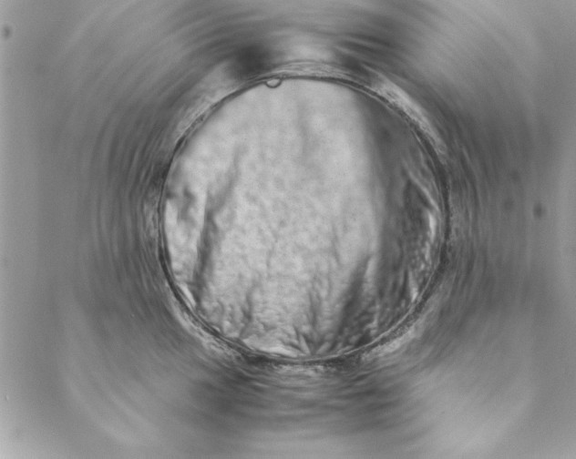 X0000088721049200706141608