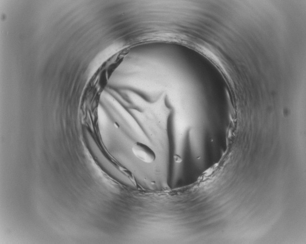 X0000088721050200706141608