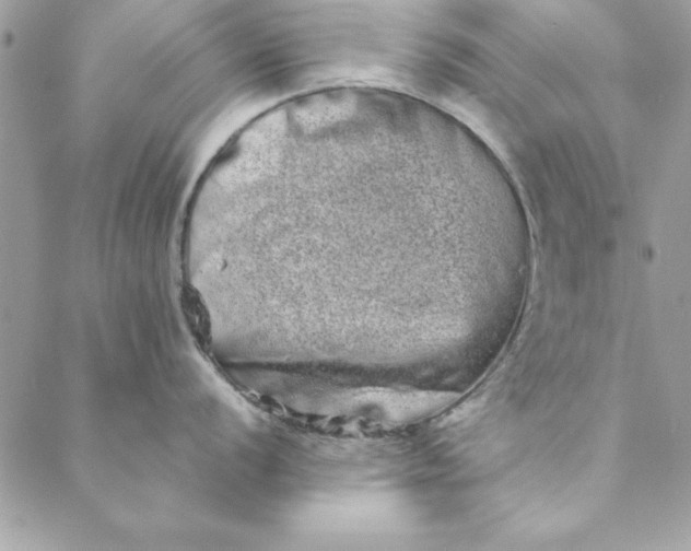 X0000088721056200706141608