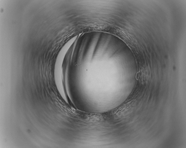 X0000088721058200706141607